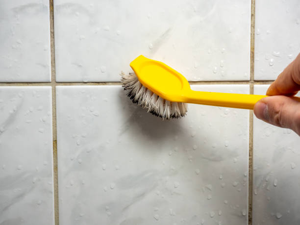 Best Mold Testing and Removal  in Woodlyn, PA