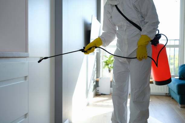 Best Mold Cleaning Services  in Woodlyn, PA