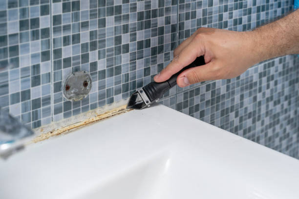 Best Mold Damage Repair  in Woodlyn, PA