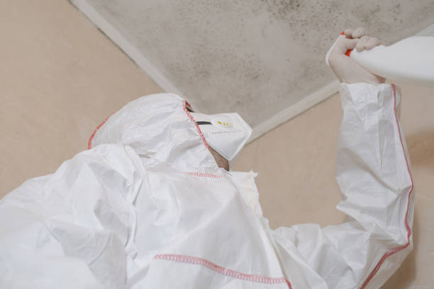 Best Residential Mold Removal  in Woodlyn, PA