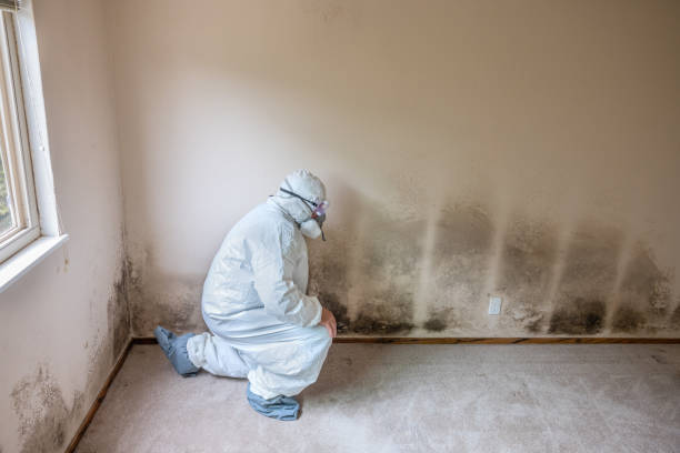 Best Crawl Space Mold Removal  in Woodlyn, PA